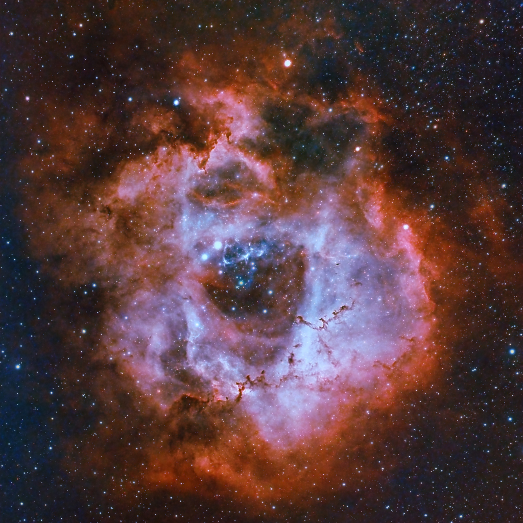 Rosetta Infuocata