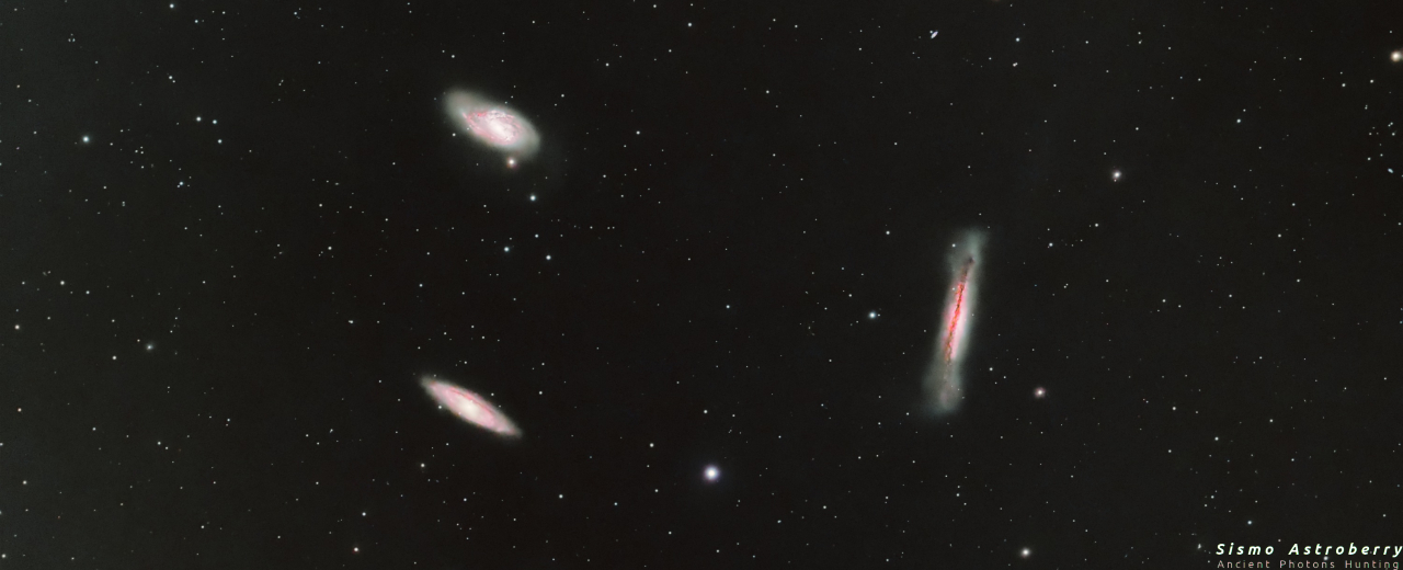 Leo Triplet